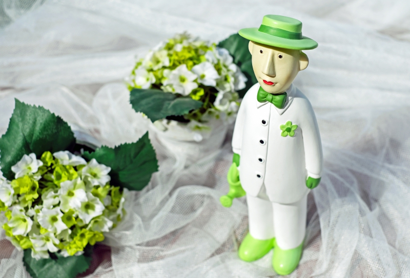 vitrine-BRUE AURIAC-min_man-person-flower-green-toy-fig-546529-pxhere.com